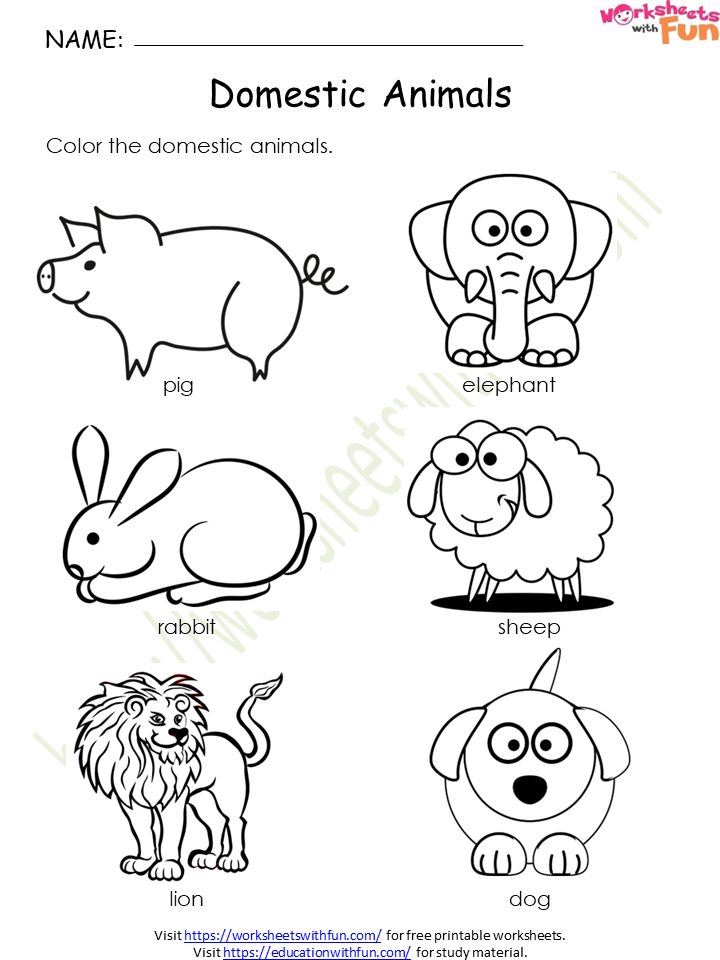 30 Domestic Animals Worksheets Kindergarten