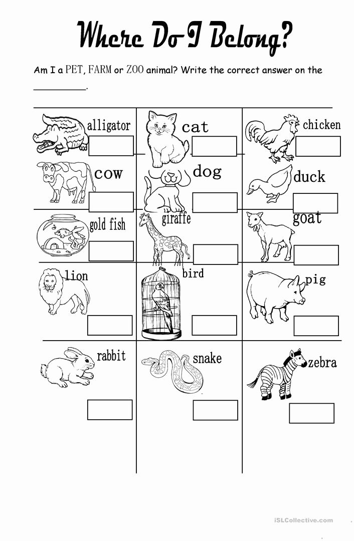 30 Domestic Animals Worksheets Kindergarten