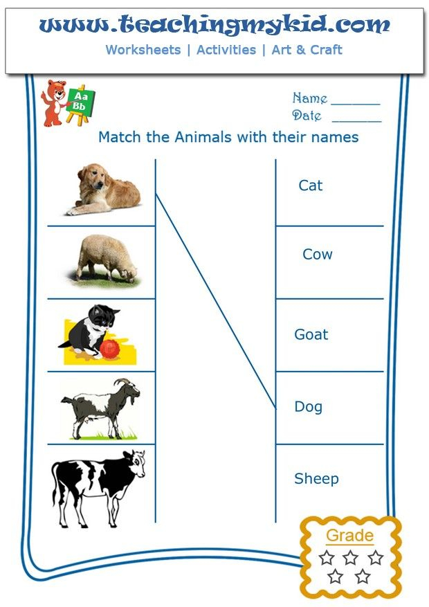 21 Domestic Animals Worksheets Kindergarten