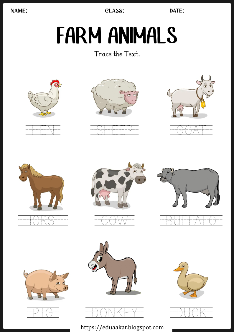 21 Domestic Animals Worksheets Kindergarten