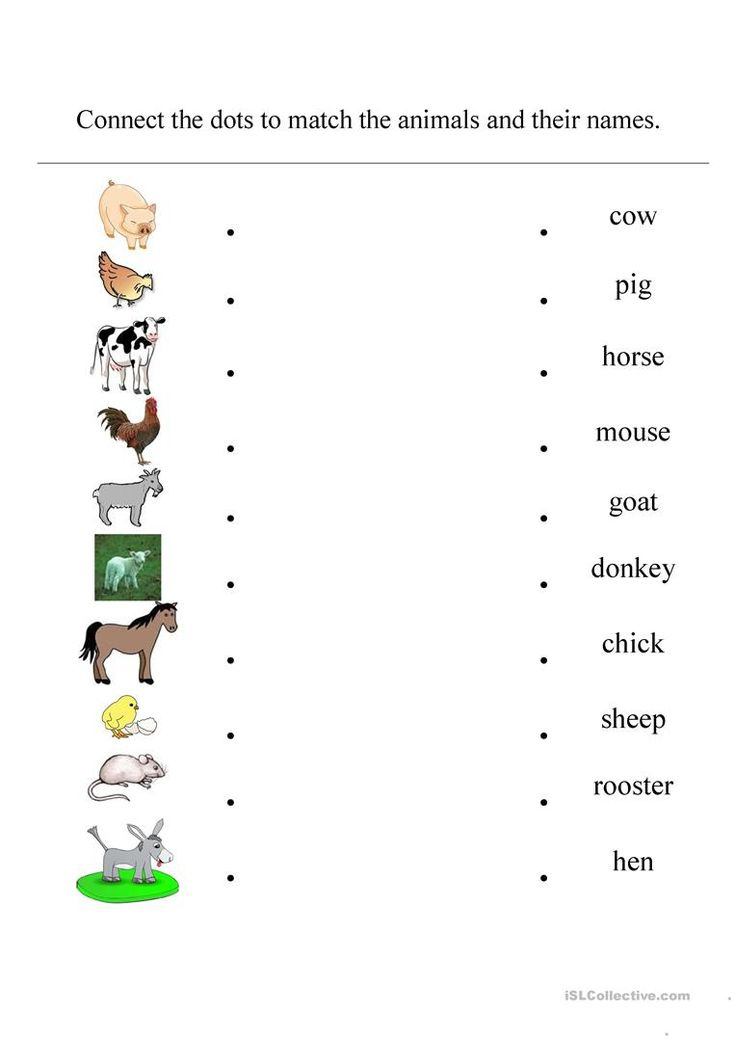 21 Domestic Animals Worksheets Kindergarten