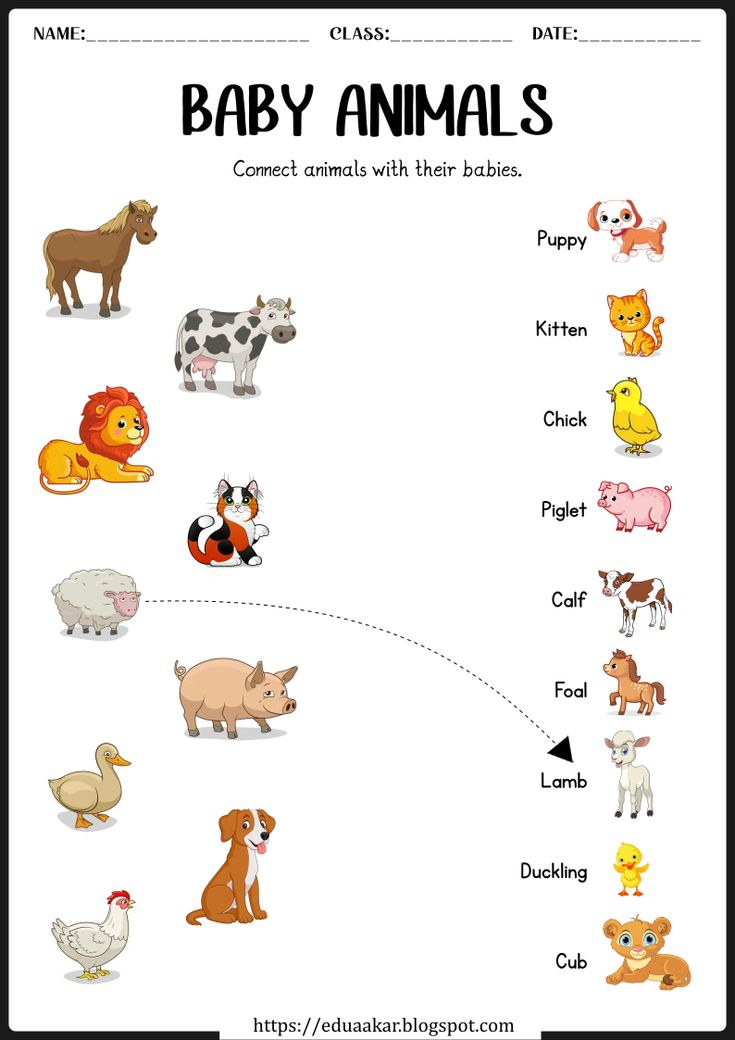 21 Domestic Animals Worksheets Kindergarten