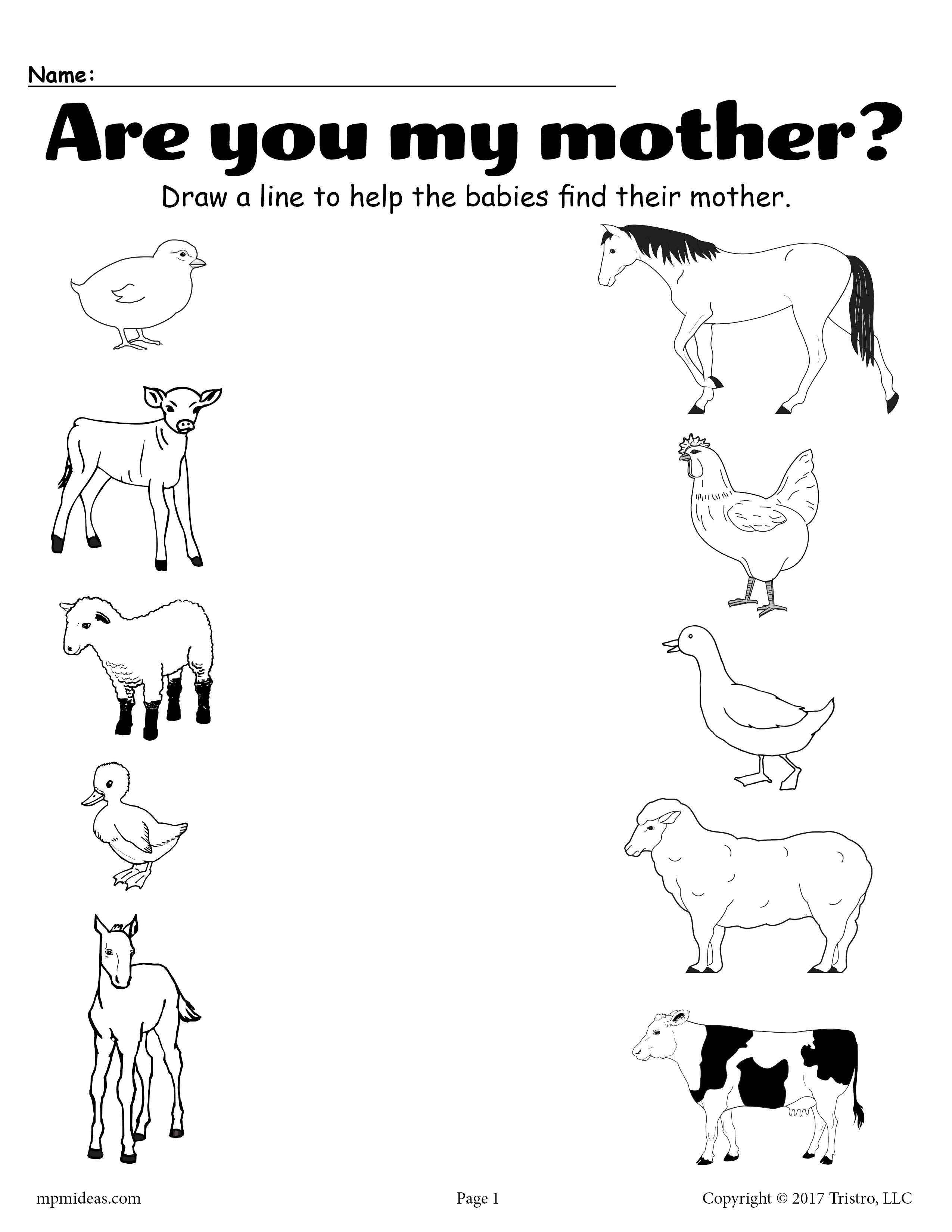 21 Domestic Animals Worksheets Kindergarten