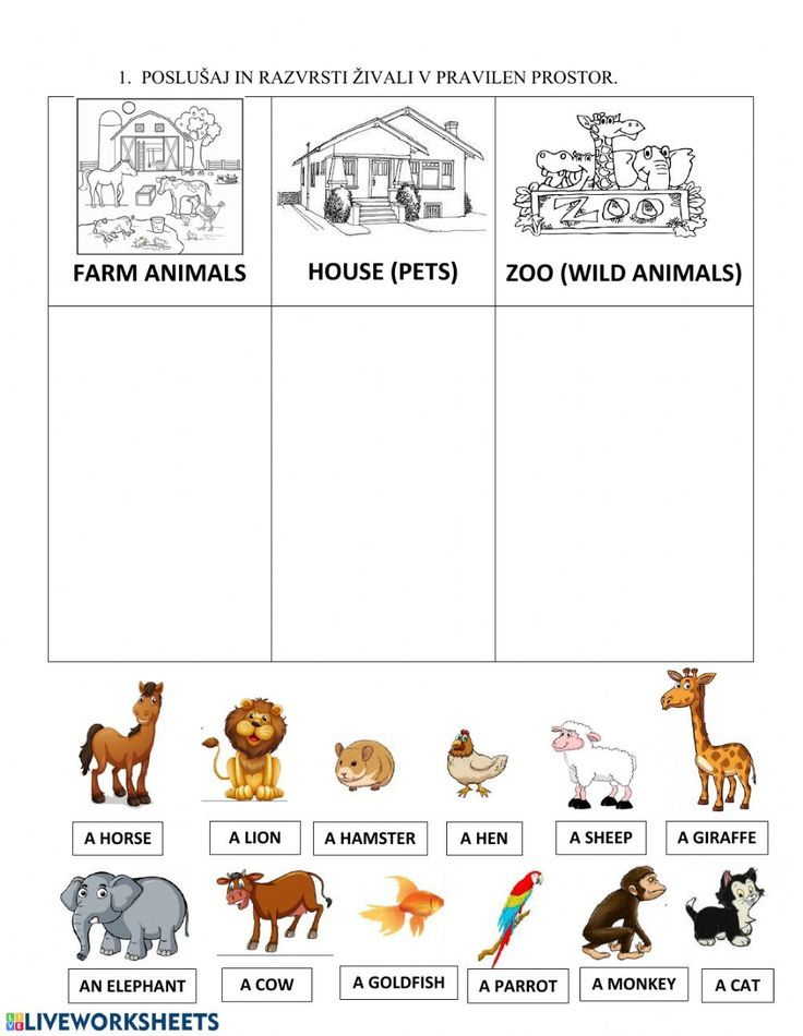 21 Domestic Animals Worksheets Kindergarten