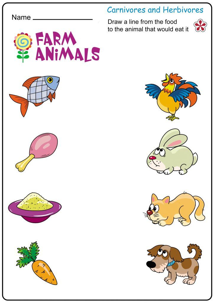 21 Domestic Animals Worksheets Kindergarten