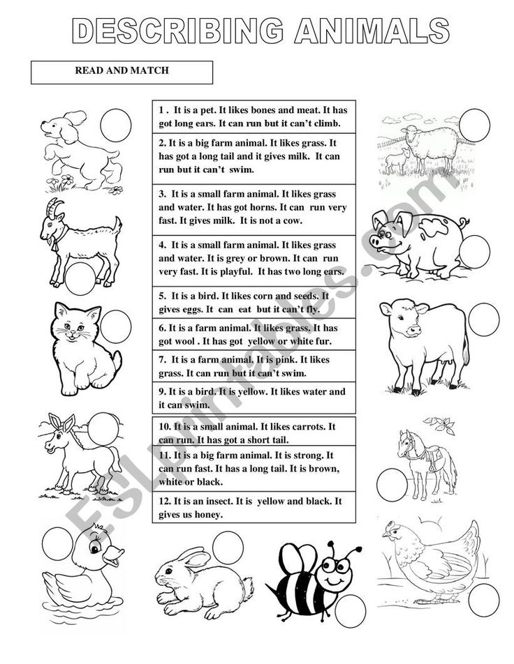 21 Domestic Animals Worksheets Kindergarten